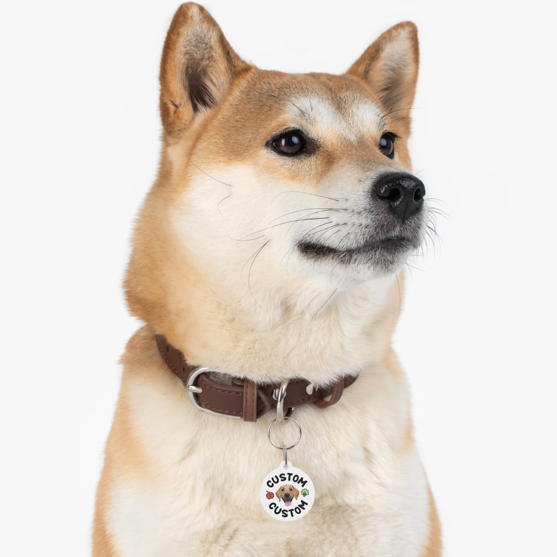 Custom your Pet Tag Printify